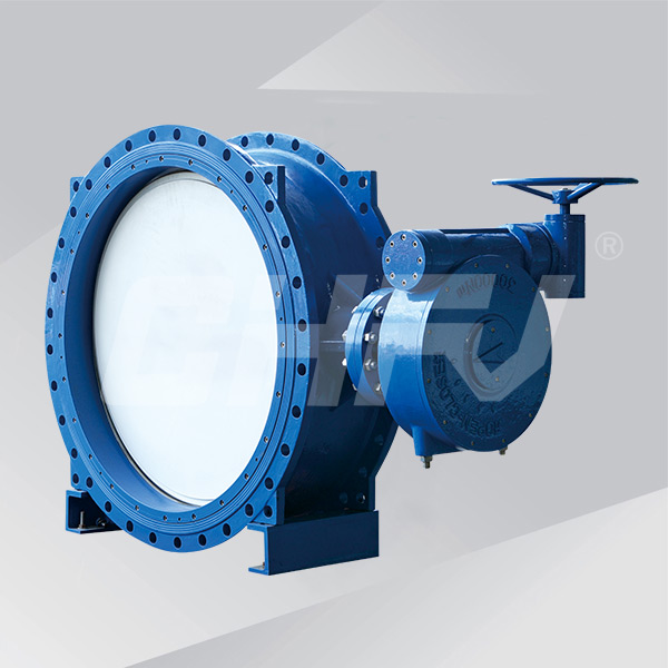 Worm double eccentric butterfly valve