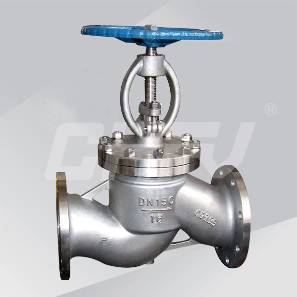 Stainless steel globe valve