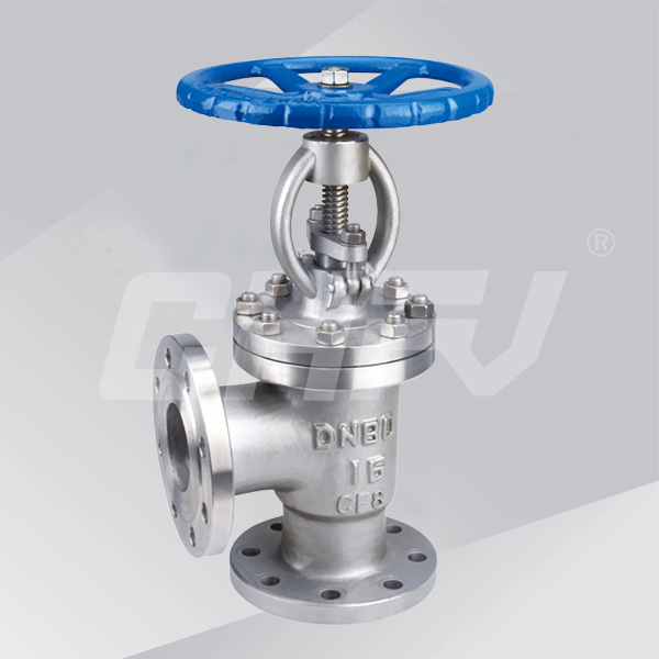 Angle type globe valve