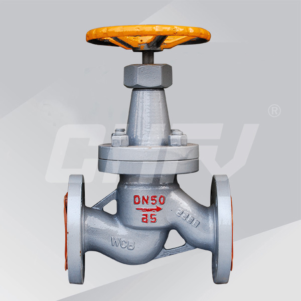 Globe dark globe valves