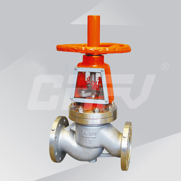 Oxygen special globe valve