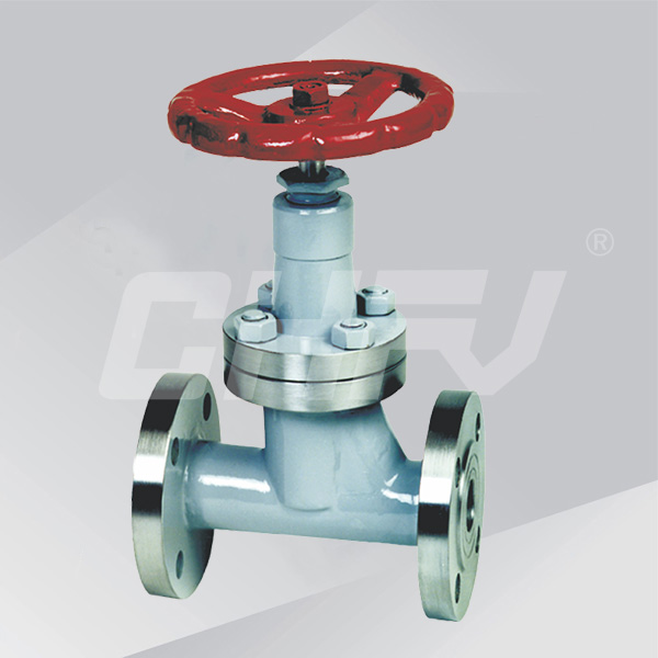 LPG globe valve