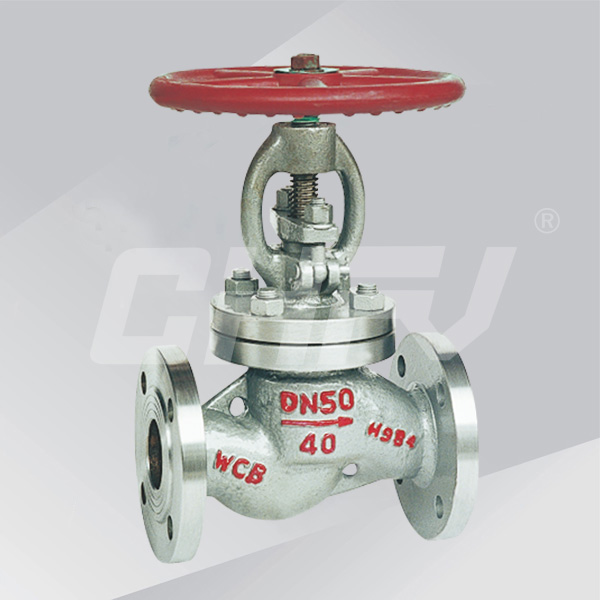 LPG globe valve