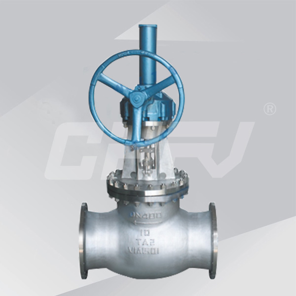 Titanium globe valve