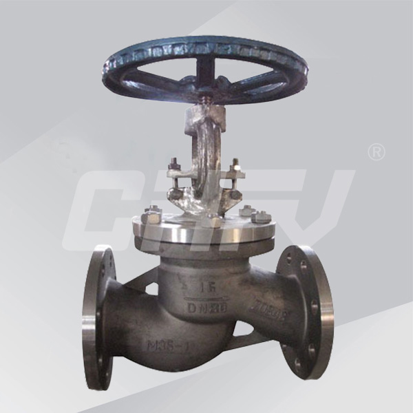 Zirconium globe valve