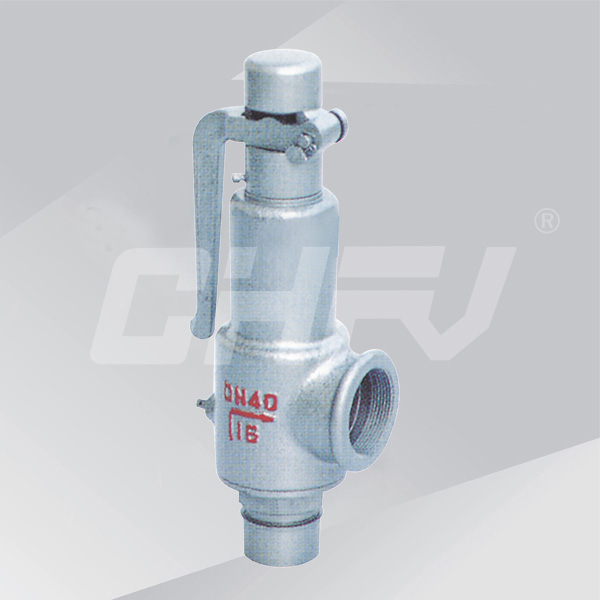 Spring-wide safety valve