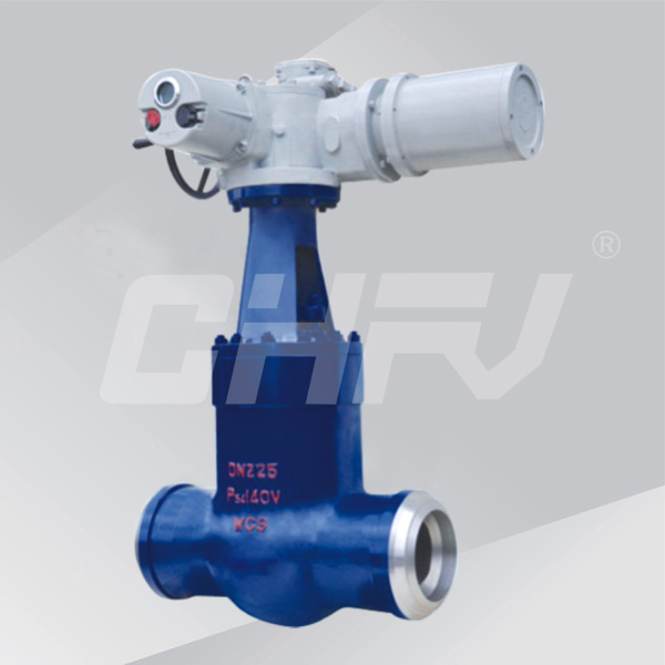 Power station gate valve