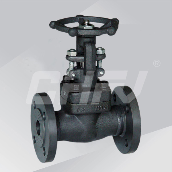 American Standard forged steel flange valve