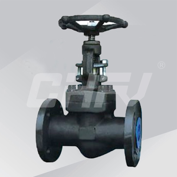 GB forged steel flange globe valve