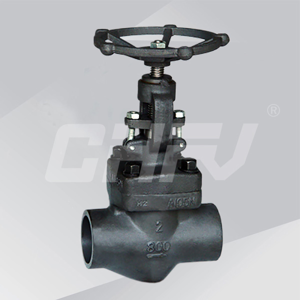 Forged steel thread, socket welding globe valve 