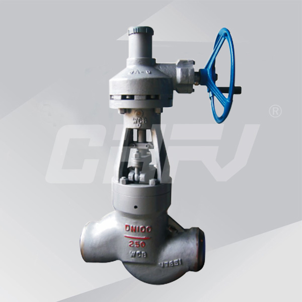 High temperature and pressure globe valve