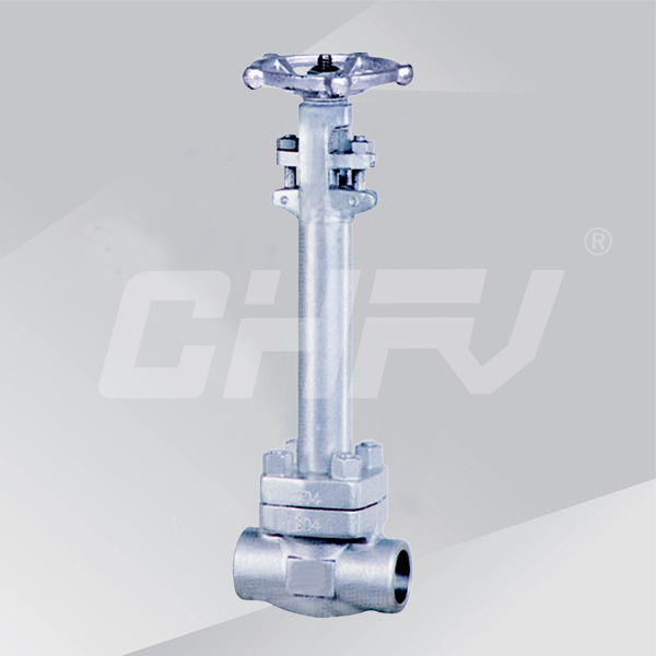 Stainless steel cryogenic valve