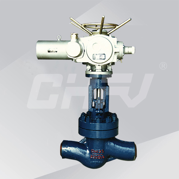 High temperature and high pressure electric globe valve