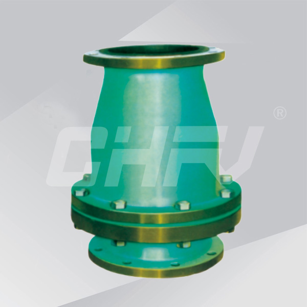 Swing check valve