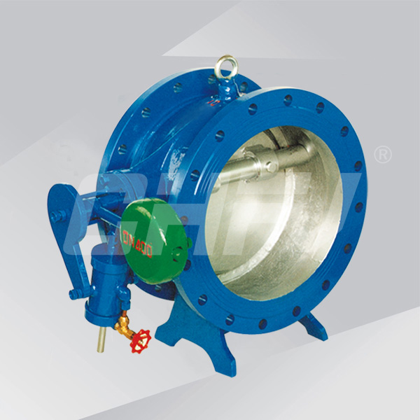 Butterfly cushion check valve 