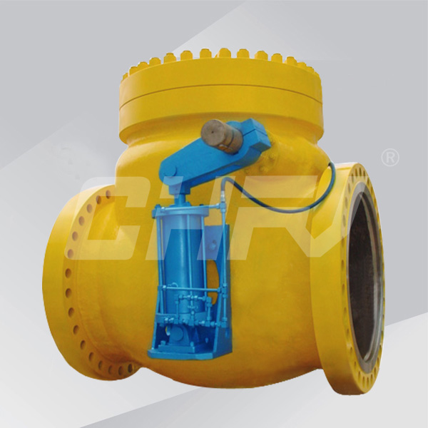 Swing check valve