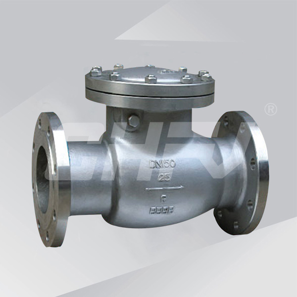Stainless steel swing check valve