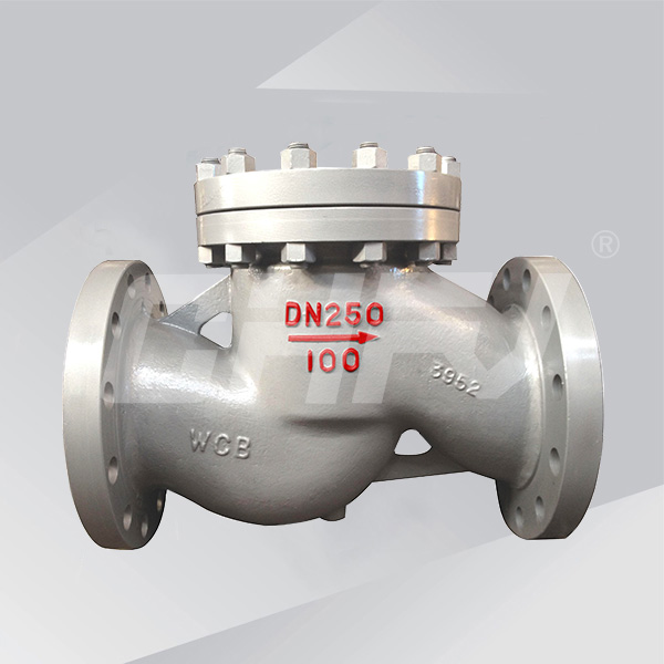 National standard lift check valve