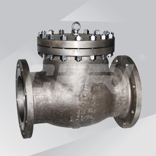 Titanium check valve