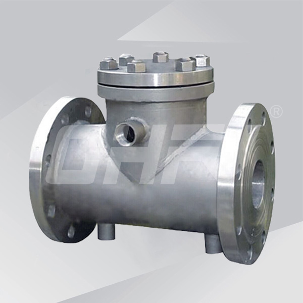 Insulation check valve