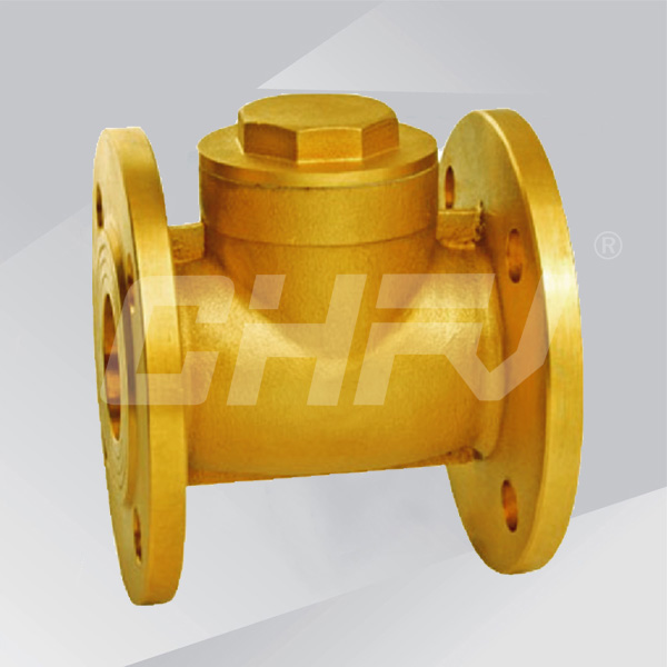 Horizontal flange check valve